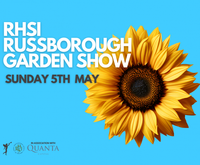RHSI Russborough Garden Show 24