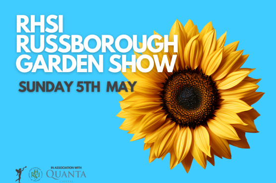 RHSI Russborough Garden Show 24