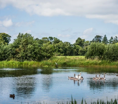 The Parklands