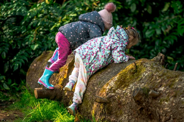 Children looking over fallen tree