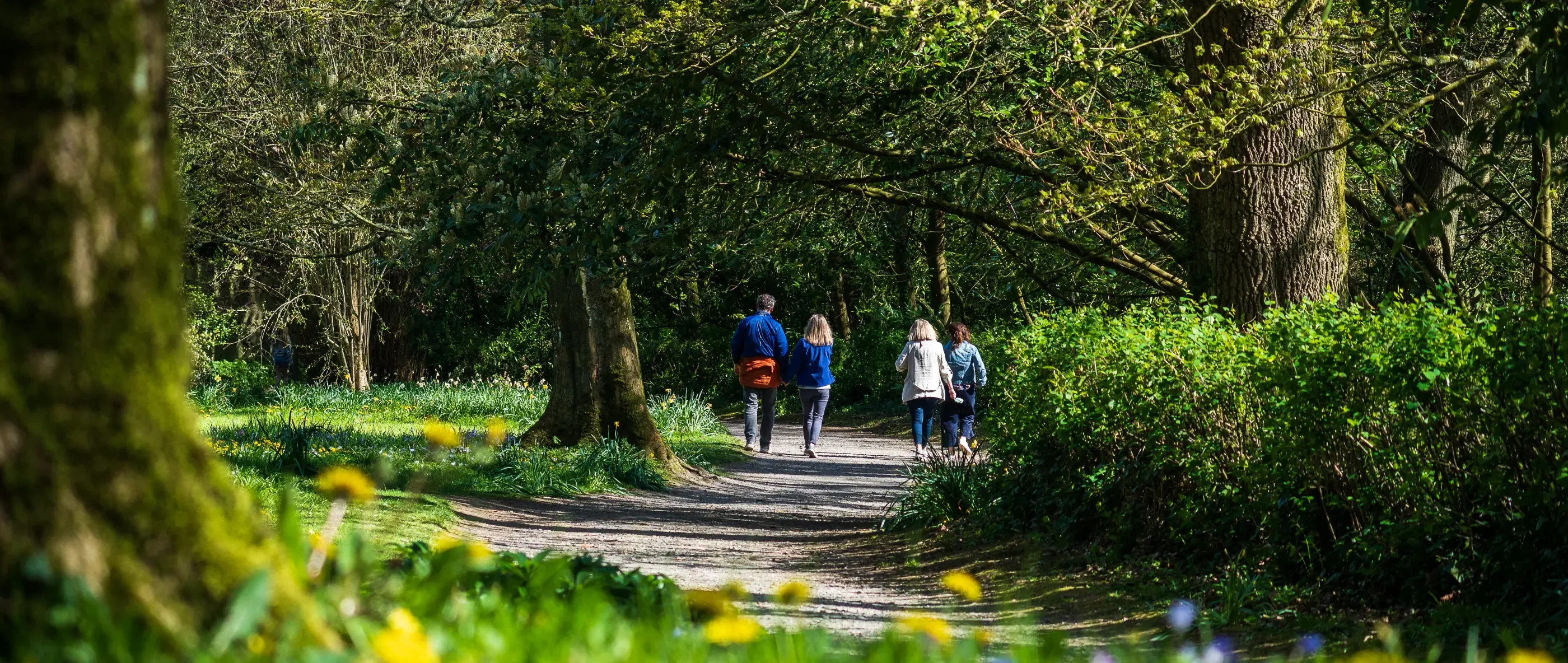The parklands and gardens at Russborough House 01