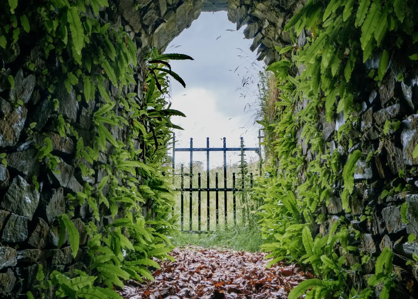 The parklands and gardens at Russborough House 04