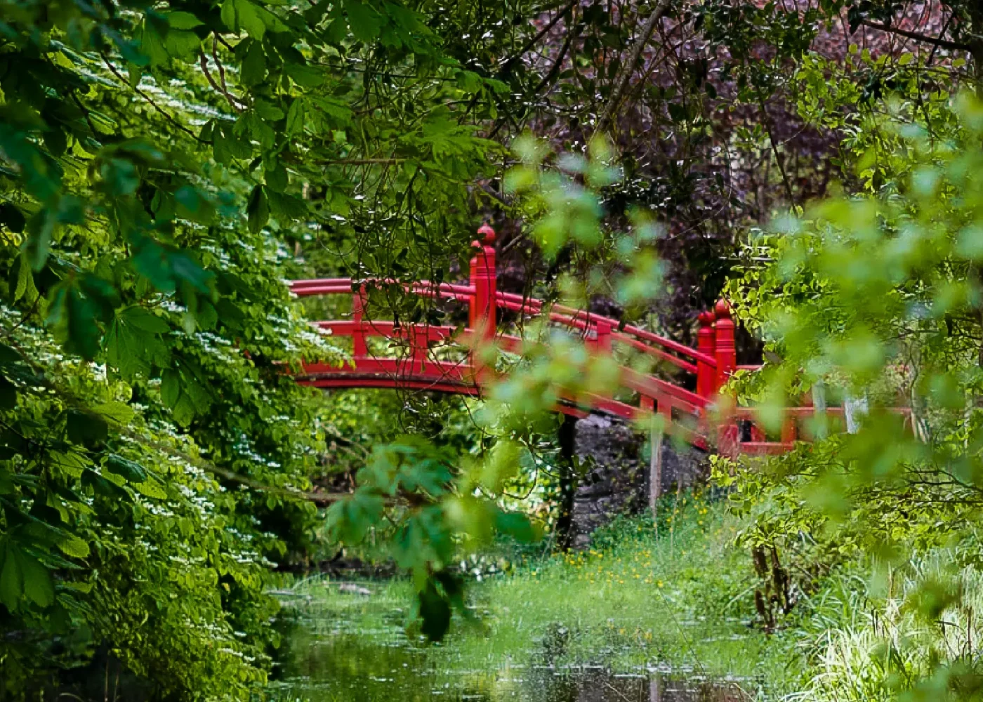 The parklands and gardens at Russborough House 08