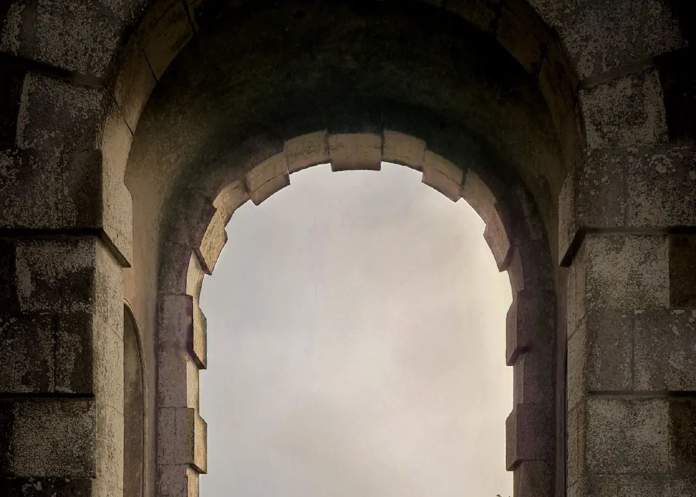 accessibility 06