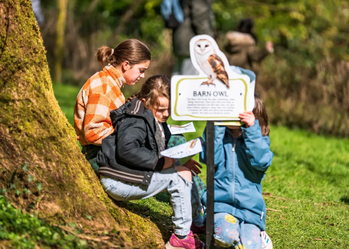 activities at russborough 07