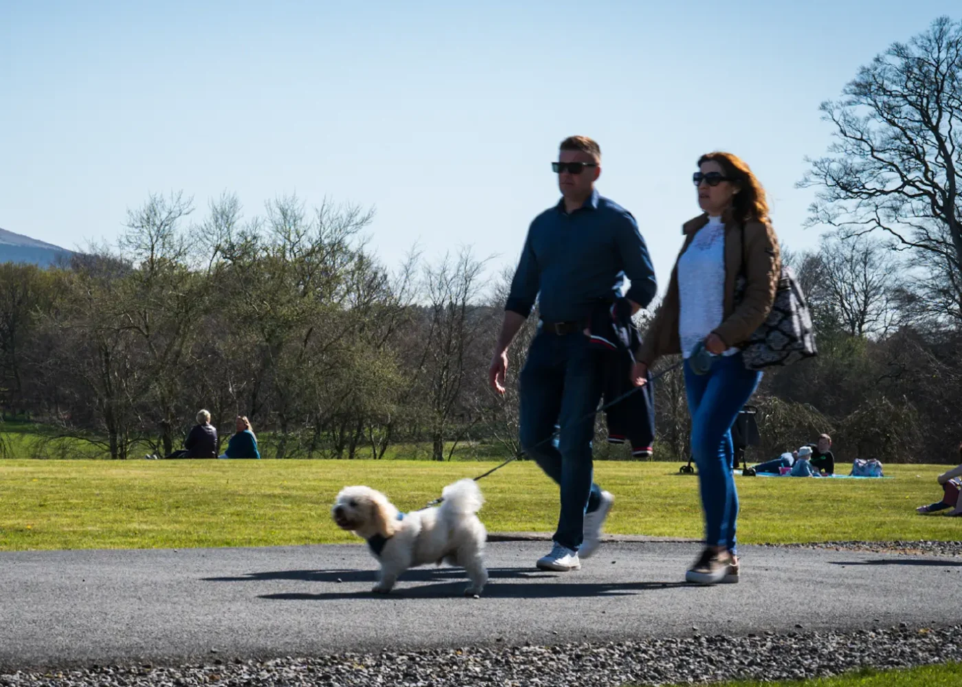 memebrship russborough 2 adults in park