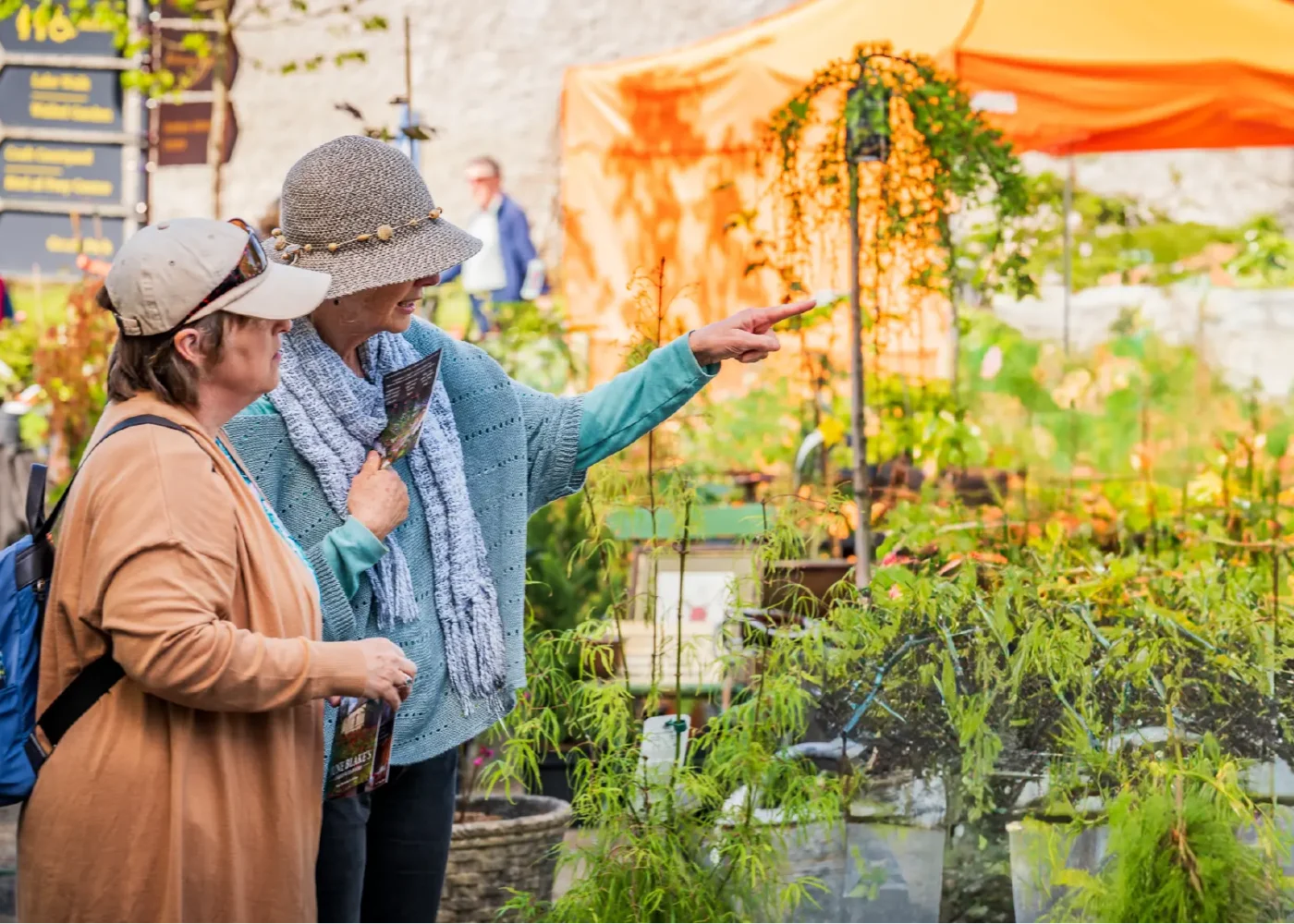 people in garden