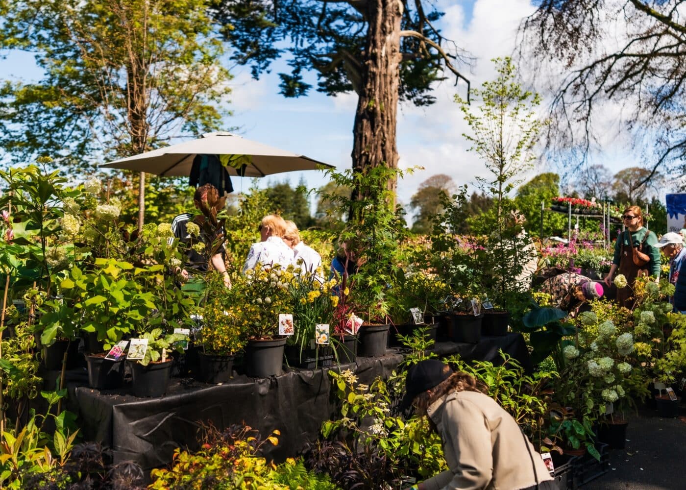garden show at russborough