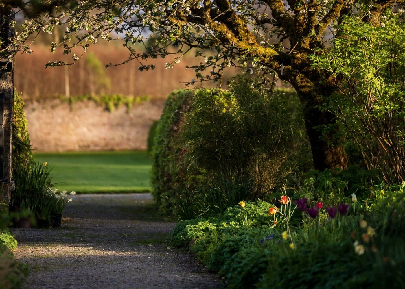 walled garden path at russborough