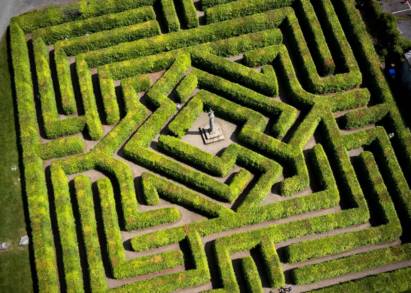 aerial view of maze
