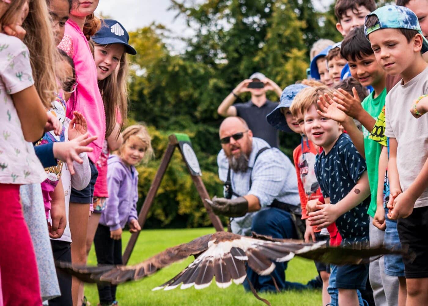 birds of prey demo with children