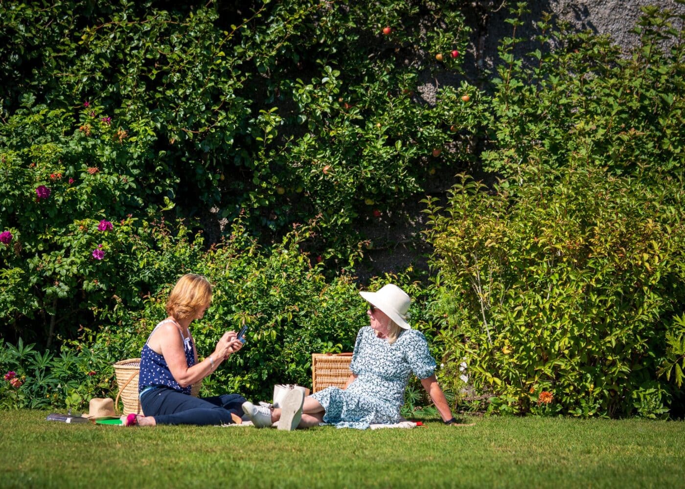 picnic at russborough