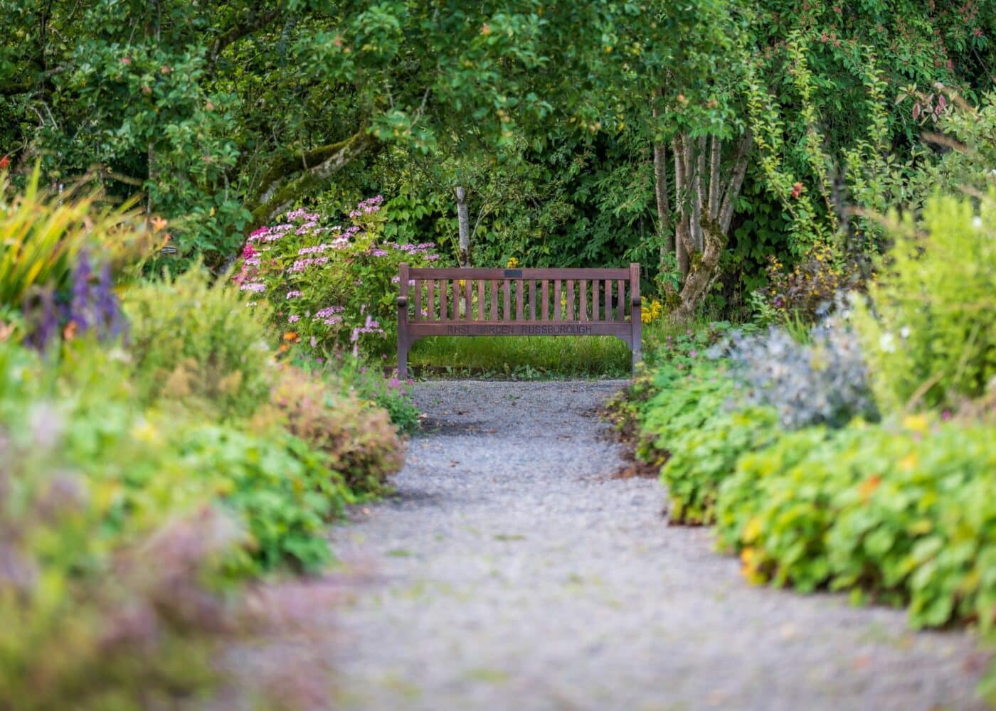 rhsi bench walled garden at russborough