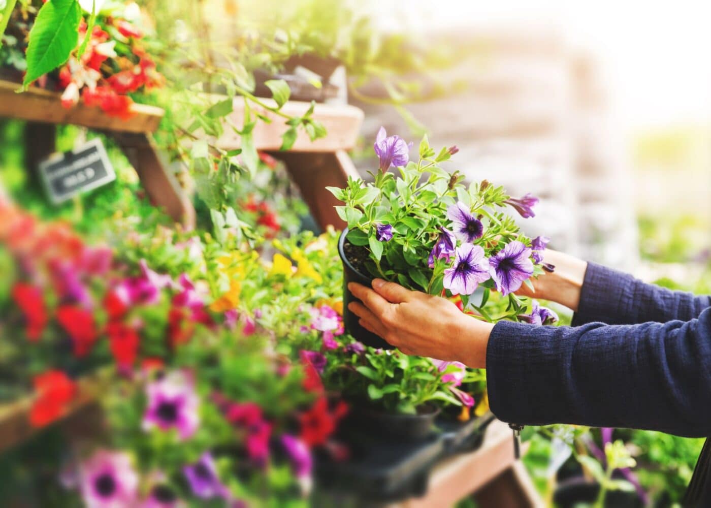 buying plants at garden show