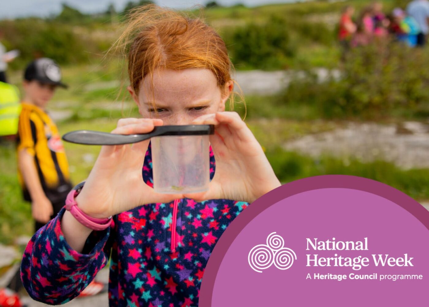heritage week at Russborough