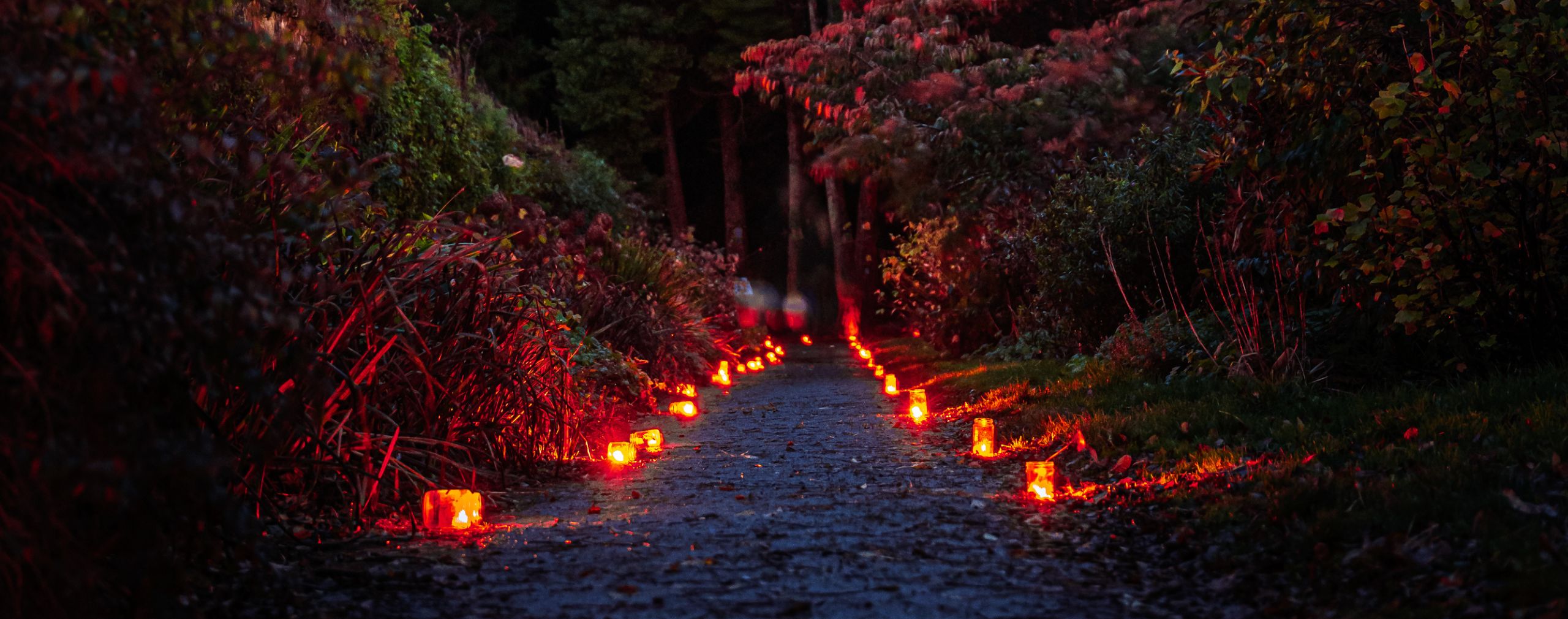 russborough candlelight walk at night