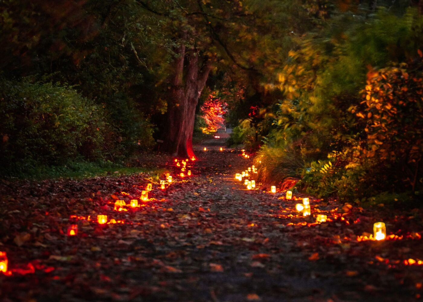 the annual candlelight walk at russborough