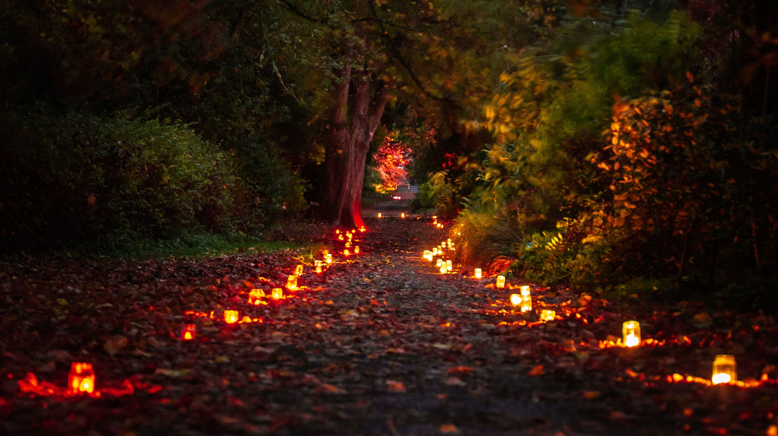 the annual candlelight walk at russborough