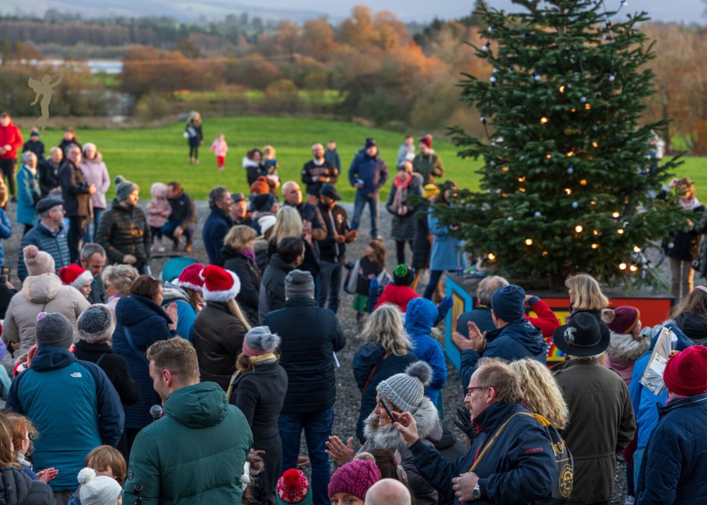 festive tree lighting