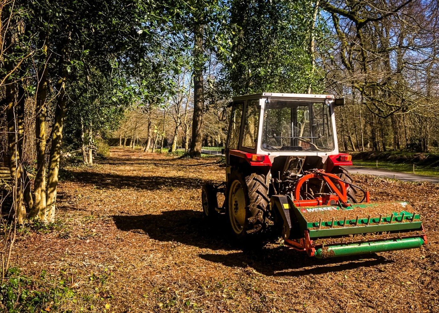 Avenue Clearance work at Russborough