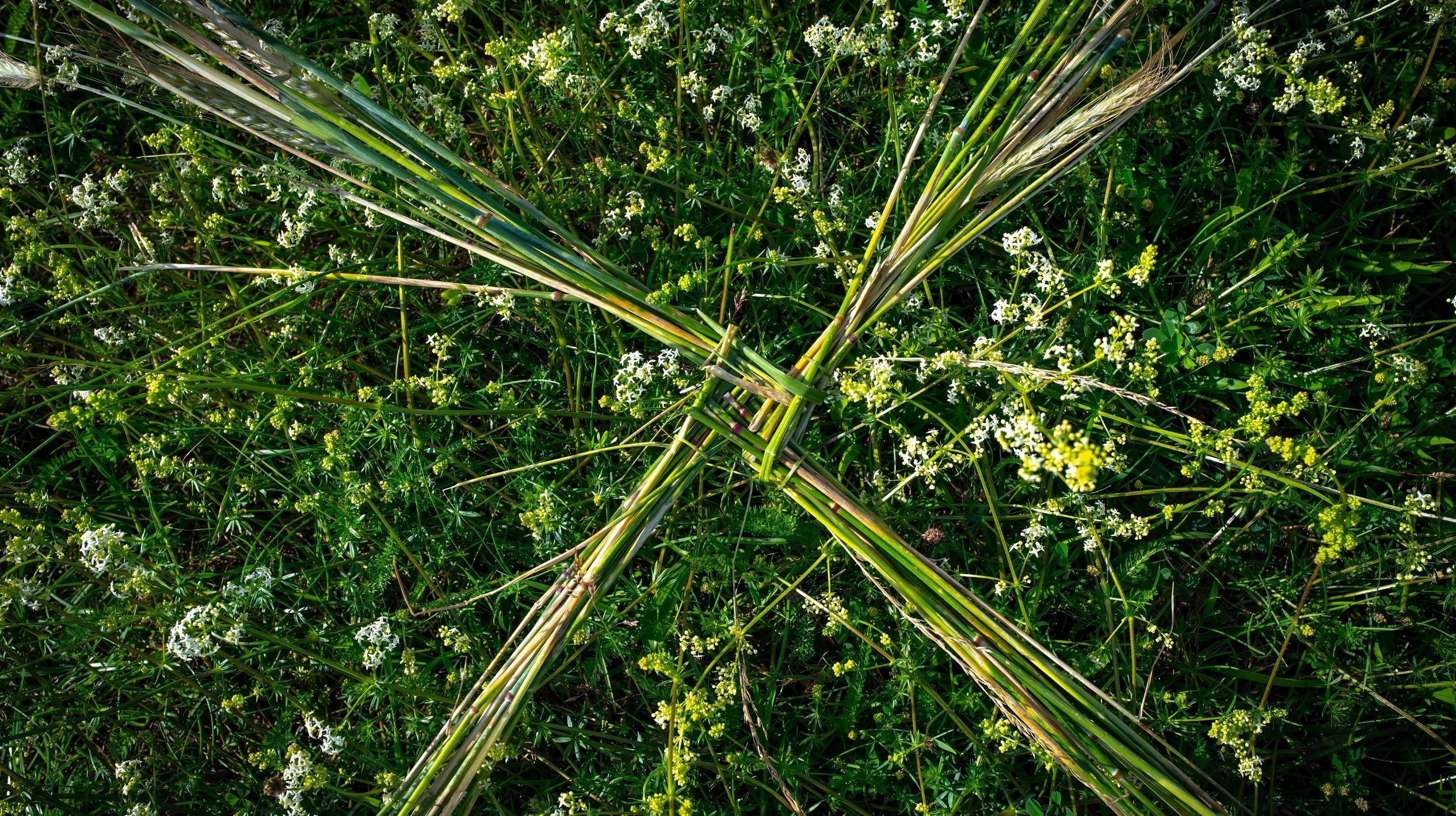 whats on st brigids cross