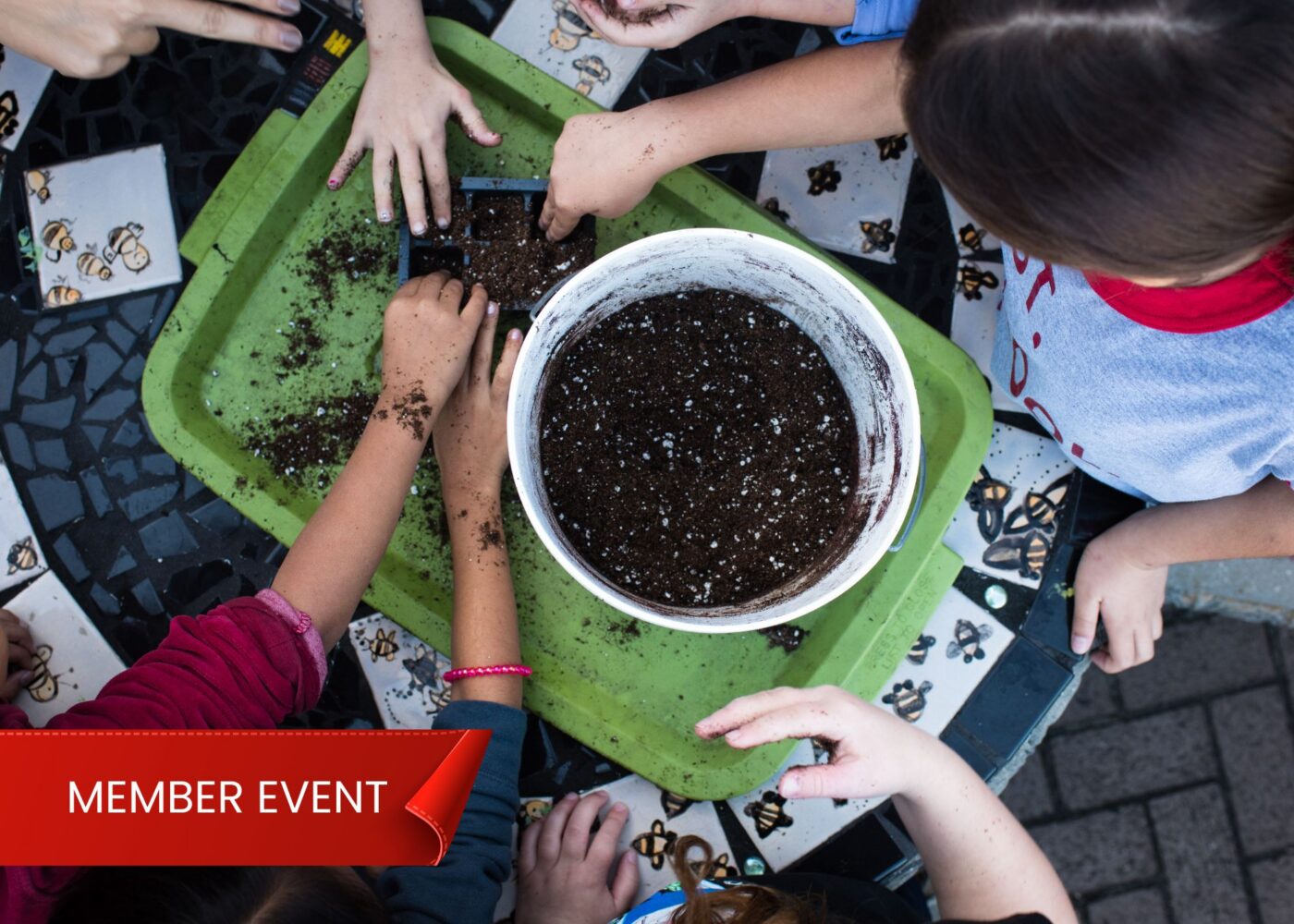children sowing seeds in pot